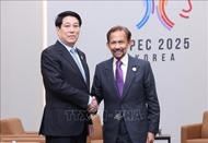 Vietnamese, Bruneian leaders pledge to promote practical development of bilateral ties